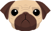 Pug